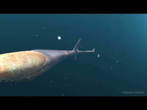 サカバンバスピス Sacabambaspis
