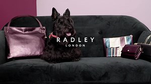 Our Radley gifting range has launched! Discover our latest collection of handbags, purses and accessories, that’ll make the perfect presents for you and your loved ones. | Radley London