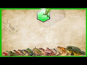 Frog Size Comparison [LIVING EXTINCT]