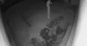 COMPRÉ UN PAYASO EN LA DEEP WEB - Fede Vigevani