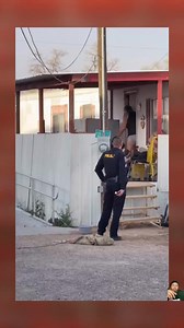 6.1M views · 13K reactions | Belen, New Mexico—A police officer in Belen demonstrated effective handling of dogs while responding to a call. The dogs chased after him once the homeowner opened the door… via: ppv_tahoe/ig | Smash Da Topic | Facebook