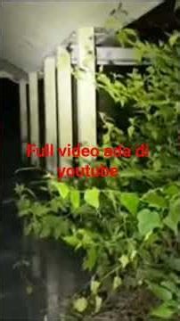 Haunted building in Central Java #baimsoloexplore #abandonedbuilding #explorehoror #bucintv