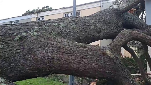 Our thoughts today are with those whose homes have been damaged as a result of trees falling, tiles coming off and any other wind-related damage. This house in Lambs Lane, Falmouth, is one of a number badly damaged by falling trees. https://www.falmouthpacket.co.uk/news/25752253.two-children-lucky-alive-storm-gorettis-winds-falmouth/ | Packet Newspapers