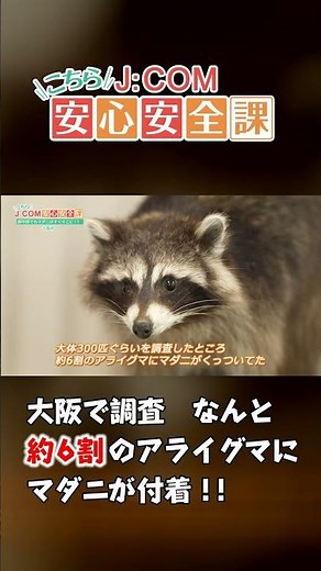 マダニって都市部にもいるの！？