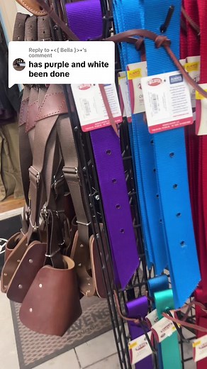 Replying to @• • Living for this color combo #fyp #foryou #foryoupage #wildwestbootstore #wildwest #horsetack #horsesoftiktok #equestrian #westerntack #westernriding #western #professionalschoice #tackset #weaverleather #halter #englishriding #englishrider #westernsaddle