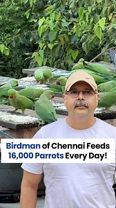 "I have fed 16,000 parrots daily for the last 15 years. People call me the ‘Birdman of Chennai’." ~ Sudarsonsah Sah #Birdman #chennai #feedingbirds #ParrotEnthusiast #actofkindness #nature [Birdman of Chennai, Sudarsonsah Sah, Parrot Enthusiast, Act of Kindness] | TheBetterIndia