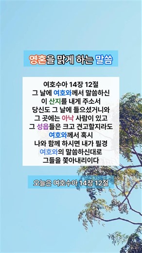 여호수아 14장 12절 말씀 마음에 새겨보아요. 이 산지를 내게 주소서