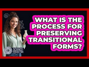 What Is The Process For Preserving Transitional Forms?