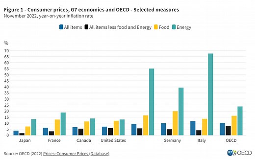 What is the Consumer Price Index and why is it important?