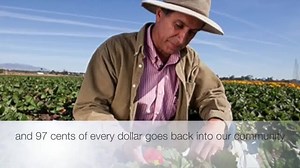 21K views · 469 reactions | See why California communities are Strawberry Powered! | California Strawberries | Facebook