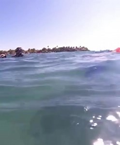 2.8K views · 69 reactions | Swimming with the turtles in Akumal, Mexico 錄 | Michelle Rodde at Hays Travel | Facebook