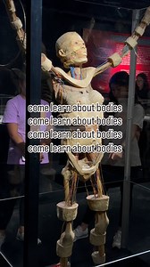 599 reactions · 11 shares | Come learn about real human bodies… From bones to brains we guarantee this is like nothing you’ve ever seen! Bodies Human in Gatlinburg takes you on a journey through the human anatomy through 250+ preserved specimens and mind-blowing displays. #humananatomy #smokymountains #stemeducation #bodyworlds #stem #newflame | Bodies Human | Facebook
