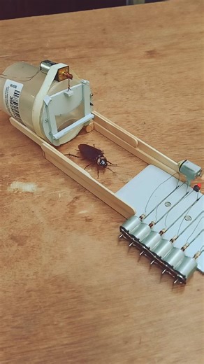 Science & Engineering on Instagram: "Cockroach trap with real cockroach uncut 😆 #engineering #trap #funny #viral #dcmotor Disclaimer - cockroach remained unharmed"