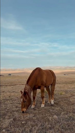 POV: you woke up in a western postcard