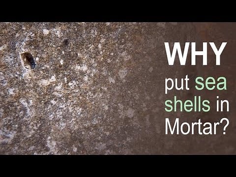 Why put sea shells in Mortar?