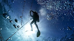 Vorace et venimeux : le poisson-lion, un fléau pour l'écosystème marin au Venezuela