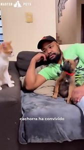 5.6K views · 848 reactions | Así se llevará bien tu perro con el...