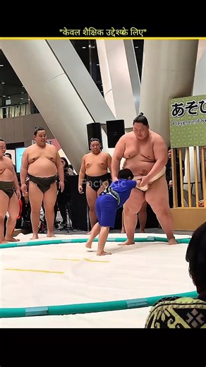 Why Are Sumo Wrestlers So Big? Mind-Blowing Secret! 😱 || Shocking Truth About Sumo Wrestlers! 🤯