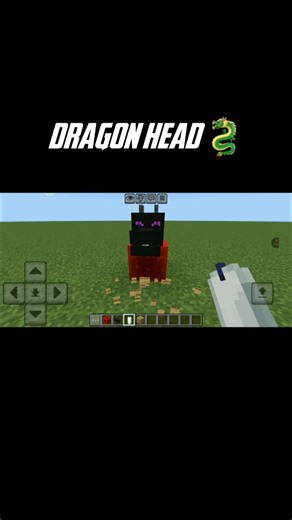 minecraft ender dragon 🐉 head #minecraft #game #gaming #smp #minecraftbuilding #memes