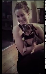 6.9K views · 218 reactions | Meet Sadie, adopted from MHS! Her owner...