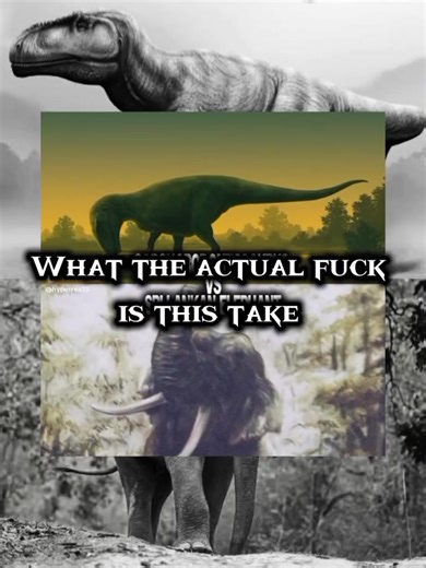ok ( I ment 7-7.2 tons, I forgot to add my watermark) #animals #dinosaurs #meraxes #vs #elephant @maffewwis @Clockner🇮🇹 @King carcha @𝙻𝚒𝚗𝚞𝚜 | 🇧🇷 @Paleo Nerd @Deino @Ⓓⓘⓔⓝⓞ @𝓐𝓷𝓲𝓶𝓪𝓵_𝓮𝓭𝓲𝓽𝔃_32🤍 @Black @corutocapt.xyz,snock @DinoWarsFC @Elephant glazer @GH0ST_EDITZZZ @GODZI edits @Gabe_The_Editor49 @Horrible @Idfk @king bull @Mapusaurus roseae @MetroMorphine @Ministro @Offensive takes @Ｒｅｎ 畝誕ソ @Rinonyx @️rev_ @V_rtx @walker @𝐒𝐀𝐋𝐓𝐈𝐄 @🌿Paleo_l🌿