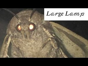 𝓜𝓸𝓽𝓱 𝓜𝓮𝓶𝓮𝓼 [MEME REVIEW] 👏 👏#37