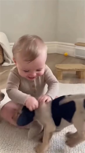 7.5K views · 125 reactions | My cute baby! #cute #puppy #baby | cool baby | Facebook