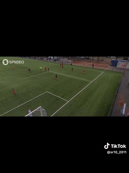 Netherlands Champions: A Football Celebration