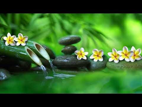 Bamboo fountain Relaxing music with the sound of Flowing water [BGM healing music] #25