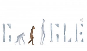Google Doodle recalls 'Lucy the Australopithecus'