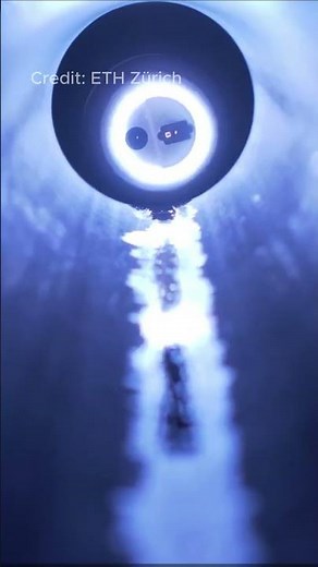 Snakebot RoBoa Crawls Into Danger to Save Lives