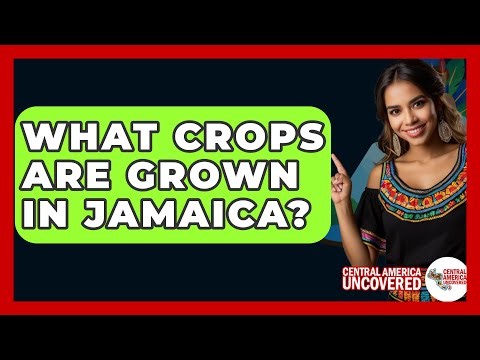 What Crops Are Grown In Jamaica? - Central America Uncovered
