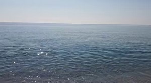 8.7K views · 155 reactions | En direct de la plage du Pont Tournant à Saint-Cyprien ☀️⛱ | Saint-Cyprien Animations | Facebook