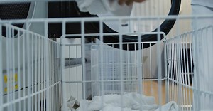 Video by Tima Miroshnichenko on Pexels