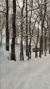 16.01.2026 Улицы города#5