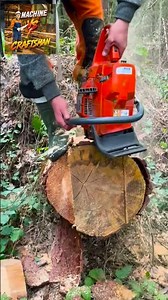 🛠️Cut Tall Trees Without Climbing Learn These Chainsaw Tricks Now! #wood #gardenideastips#woodscraft