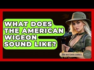 What Does The American Wigeon Sound Like? - Bird Watching Diaries