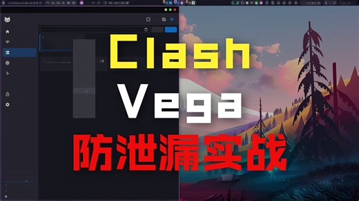 clash解决dns泄露问题