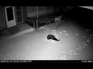 Fisher versus Possum