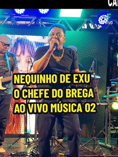 NEQUINHO DE EXU O CHEFE DO BREGA AO VIVO MÚSICA 02 #viraliza #sofrência #brega #Música