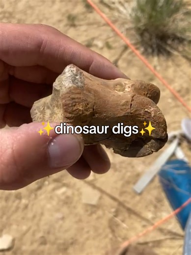 Turns out we’re extremely easy to please. 😂 If dinosaur digs are your idea of happiness too, you can join us in the field during our 2026 fossil dig sites expeditions! Link in our bio to learn more and sign up. #paleontology #sciencetok #dinosaurs #fieldwork #fossilhunting