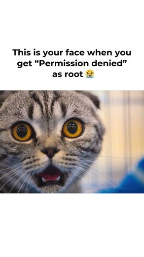“Permission Denied”… As ROOT?! 😭🐧 #linux