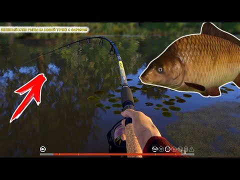 БЕШЕНЫЙ КЛЕВ РЫБЫ НА НОВОЙ ТОЧКЕ С ФАРМОМ! САДОК ПОЛНОСТЬЮ ЗАБИТ!