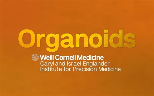 【类器官】Organoids