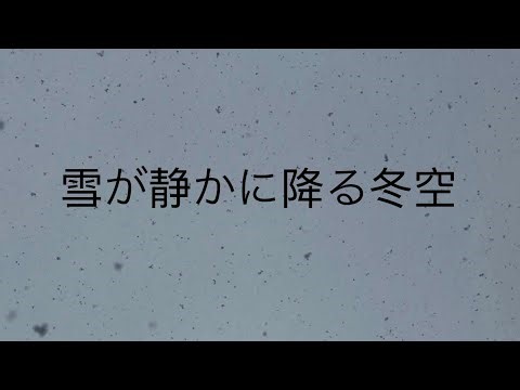 雪が静かに降る冬の空 — 30分間の癒し映像 / 作業・読書用
