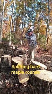 Splitting some hard maple firewood #tree #chainsawman #firewood
