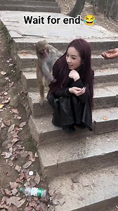 1M views · 3.5K reactions | Amazing monkey #followerseveryone #2024trends #viralreelsfb #trendingreelsvideo #trendingreel #viralpage #animal #monkey #viral #funny | Monkey ily | Facebook