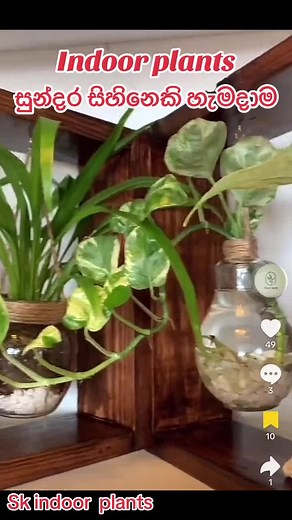 #indoorplants #housplants #nuture #house #indoor #house