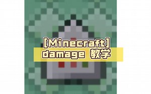 [Minecraft] damage 教学