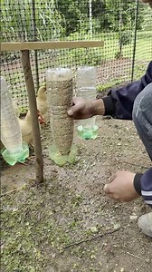 DIY Chicken Feeder with Plastic Bottles: Solve Feeding Problems Easily!